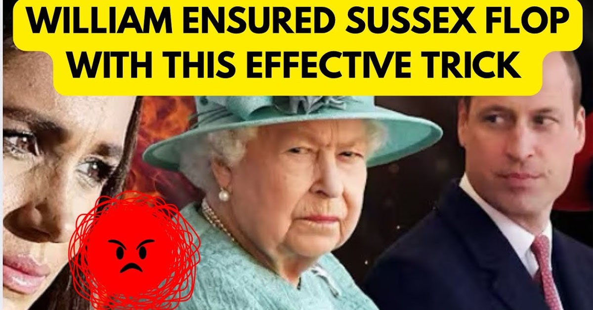 Prince William Wipes Off Sussexes’ Success: The Inside Story